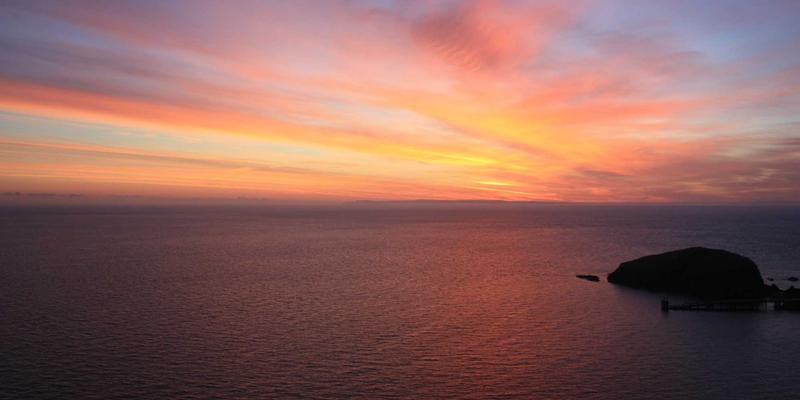 China Export新机遇：河南西亚绿色化工产品开拓东南亚市场的贸易解决方案