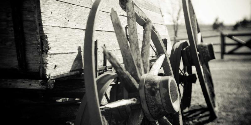 Henan Xiya进阶:解读中国出口新势力如何重塑全球贸易格局