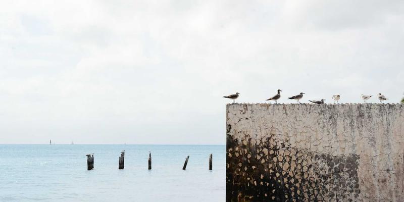 Henan Xiya：连接全球贸易的中国解决方案专家