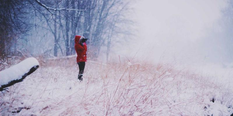 河南西亚79:全球贸易浪潮中的供应链新支点