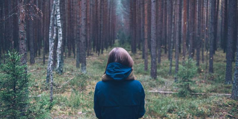 河南西亚87：赋能全球贸易的供应链解决方案专家