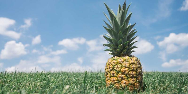 河南西亚人才战略：如何打造引领国际化工贸易与供应链管理的精英团队