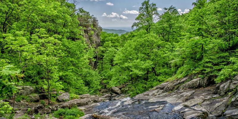 河南西亚化工：国际贸易优势与投资环境深度解析