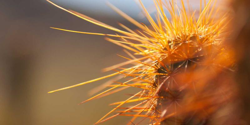 河南西亚化工如何通过循环经济模式应对国际贸易挑战与欧盟碳关税压力