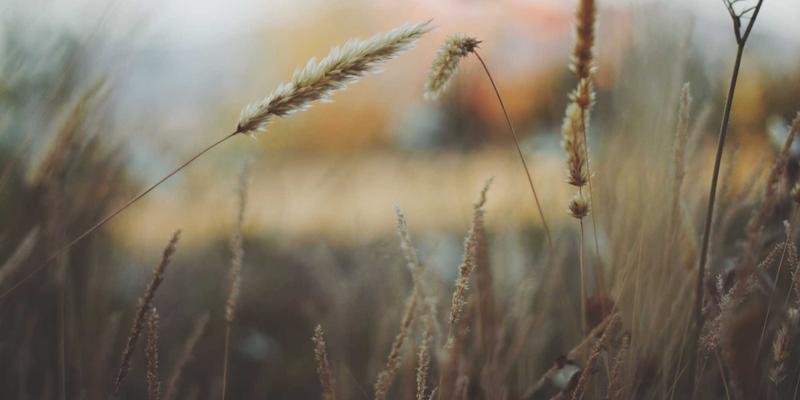 河南西亚化工研发中心：以创新驱动高附加值产品出口，重塑全球供应链