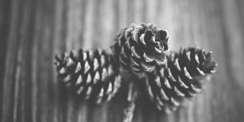 河南西亚电子商务平台：引领B2B化工产品在线交易与全球供应链协同的智能Trade Solutions