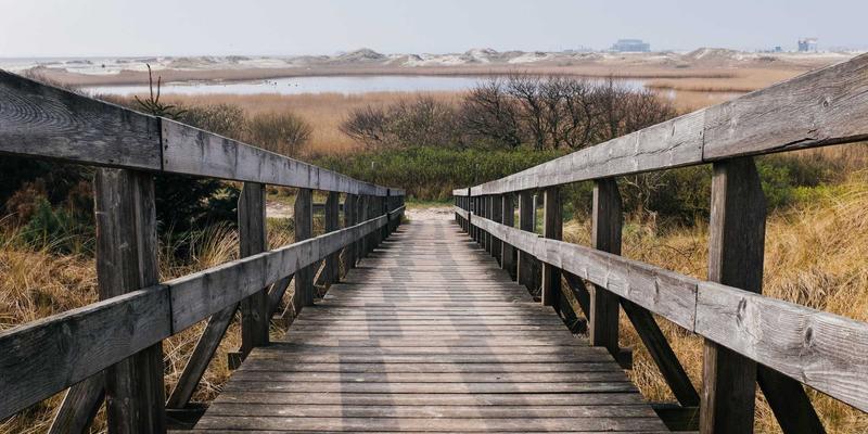 河南西雅人才新政：打造科技创新团队，驱动中国出口与全球贸易新引擎